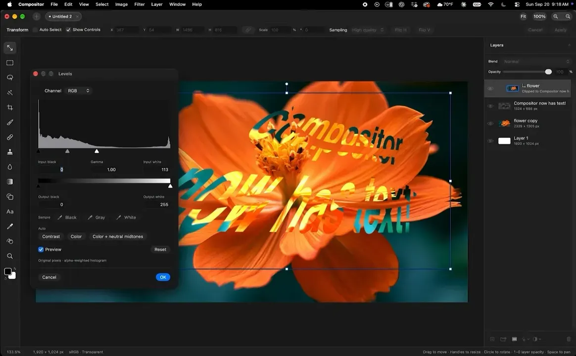 Screenshot of Compositor